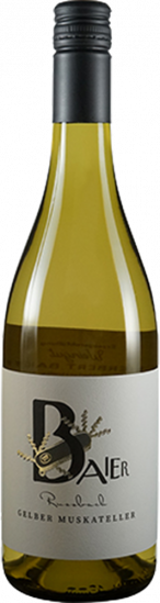 2025 Grüner Veltliner Weinviertel DAC Russbach trocken Bio - Weingut Baier