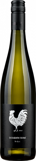 2018 Sauvignon Blanc trocken - Weinhaus Franz Hahn