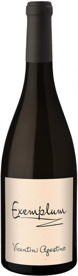2021 Exemplum Veronese IGP trocken Bio - Agostino Vicentini