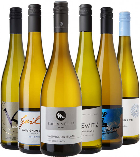 Sauvignon Blanc Entdecker-Paket