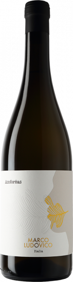 2024 Amforeas Puglia IGP - Marco Ludovico