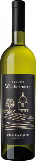 2022 Riesling Wackerbarthberg trocken - Sächsisches Staatsweingut Schloss Wackerbarth
