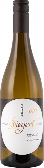 2024 Riesling Ried Hausberg trocken Bio - Bio-Weingut Siegert