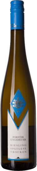 2023 Riesling Forster Ungeheuer Selektion Mossbacherhof trocken - Forster Winzerverein