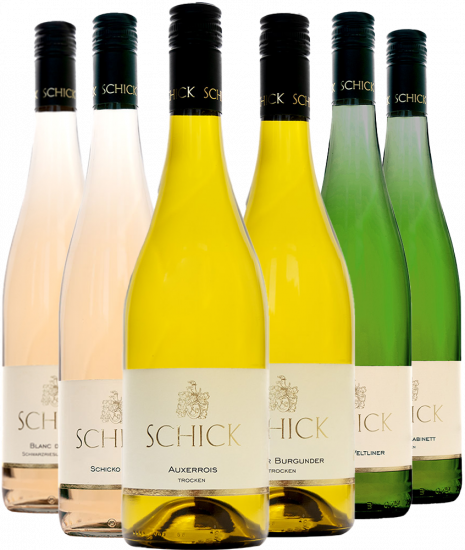 Kennenlern-Paket trocken BIO Bio - Weingut Adolf Schick