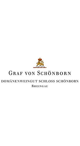2020 Riesling feinherb - Domänenweingut Schloss Schönborn