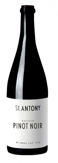 2016 Nierstein Pinot Noir trocken BIO - Weingut St. Antony