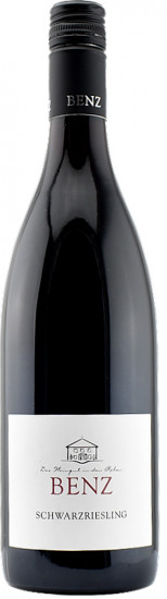 2022 Schwarzriesling halbtrocken - Weingut Benz