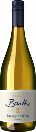 2024 Sauvignon Blanc trocken - Weingut Stephan Barth