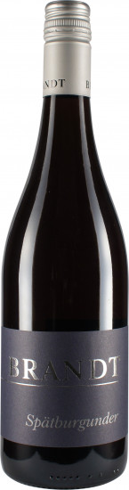 2015 Pinot Noir Barrique trocken - Weingut Brandt