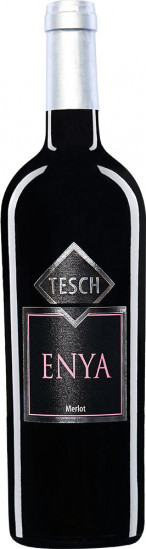 2021 Enya trocken - Weingut Tesch