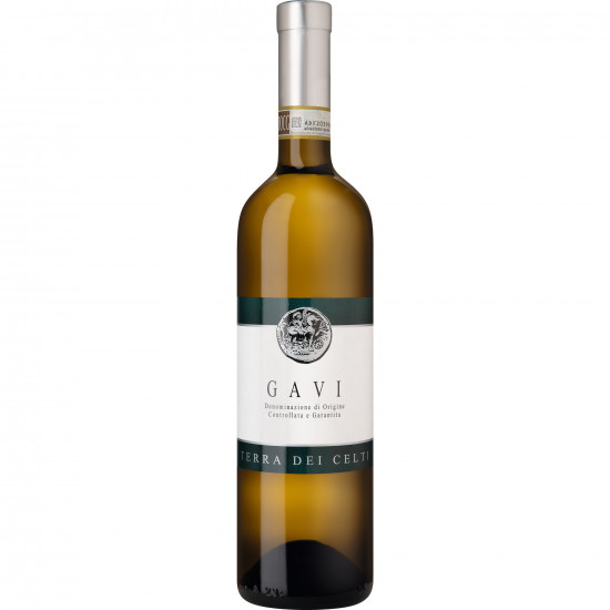 2025 Terra dei Celti Gavi trocken - Roberto Sarotto