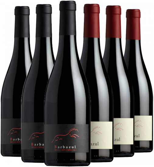 Huerta de Albalá Rotwein Kennenlern-Paket Cádiz VT - Huerta de Albalá