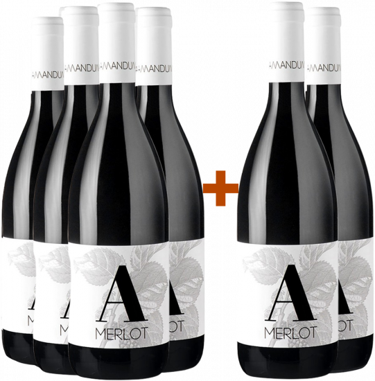 4+2 Paket Merlot Friuli Isonzo DOC - Amandum