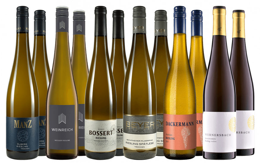 Großes Rheinhessen Riesling Paket