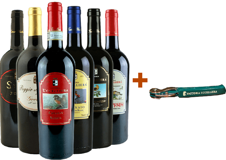 Fattoria Uccelliera Rotwein-Kennenlern-Paket - Fattoria Uccelliera