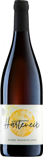 2022 Orange Grauburgunder - Weingut Harteneck