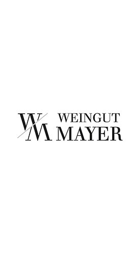 2022 Rotwein Cuveé trocken - Weingut Mayer