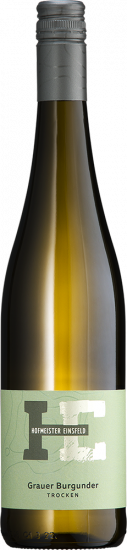 2024 Grauer Burgunder trocken - Weingut Hofmeister & Einsfeld