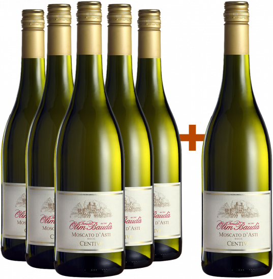 Bio - Tenuta Olim Bauda