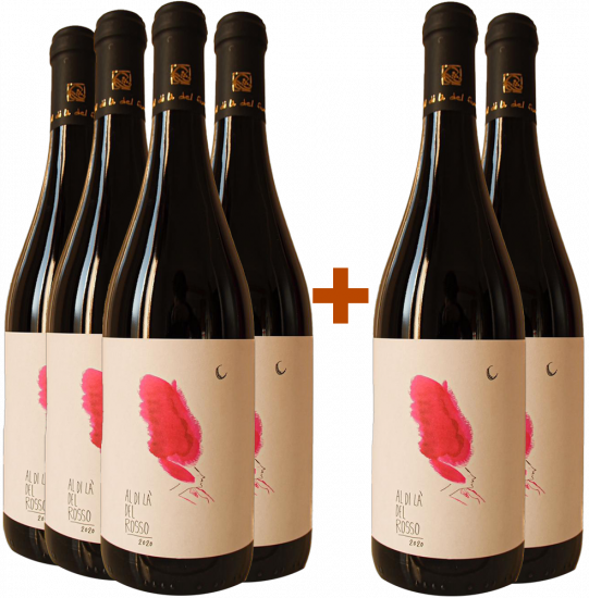 4+2 Paket Al di là del Rosso Riserva Colli Bolognesi DOC - Azienda Agricola Al di là del Fiume