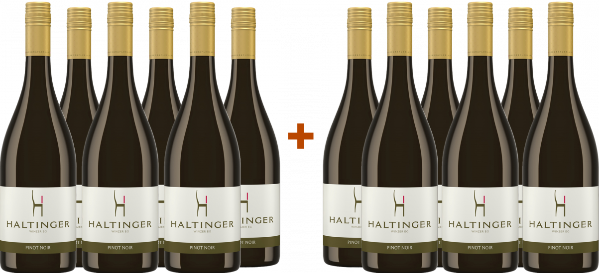 6+6 Paket Pinot Noir trocken - Haltinger Winzer eG