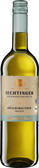 2023 Jechtinger Weinmanufaktur Grauburgunder trocken Bio - Jechtinger Weinmanufaktur eG
