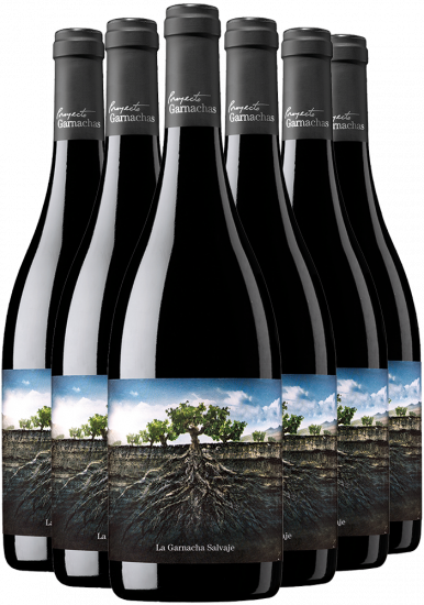  - Proyecto Garnachas