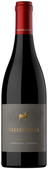 2021 Garnacha Cariñena Vallegarcía VP trocken - Pago de Vallegarcía