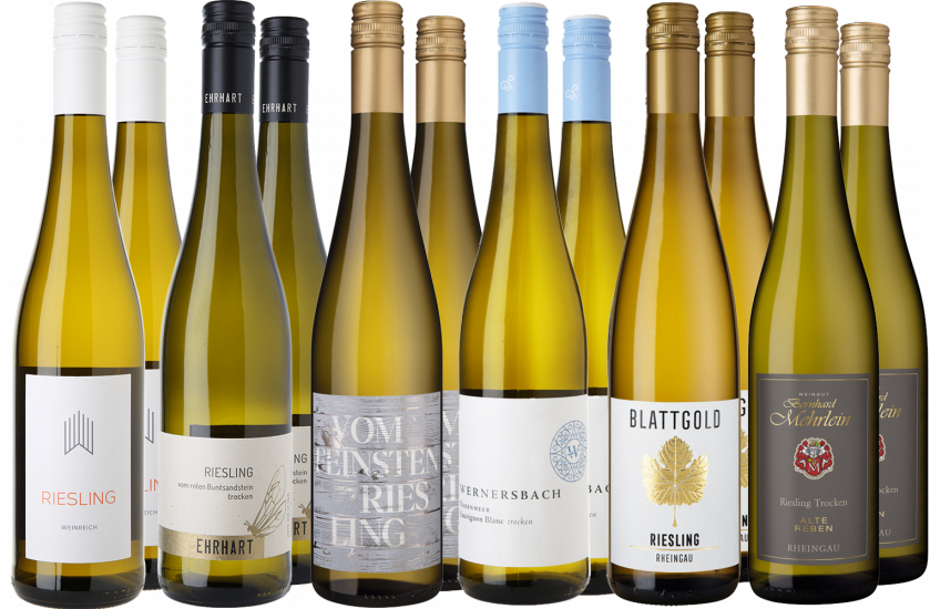 Großes Riesling Entdecker-Paket 