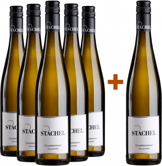 5+1 Paket Chardonnay Maikammer trocken - Weingut Erich Stachel