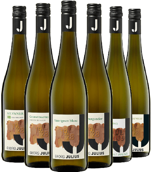 Meet Georg Julius: Weisswein Kennlernpaket - Weingut Julius
