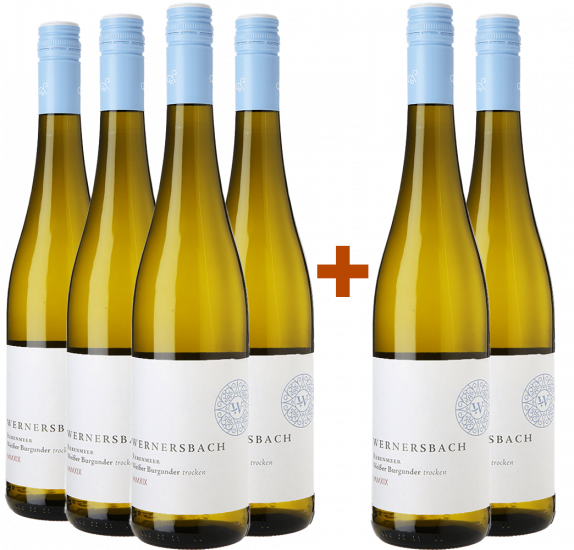 4+2 Rebenmeer Weissburgunder - Weingut Wernersbach