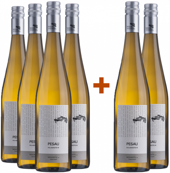 4+2 Paket Weinviertel DAC Grüner Veltliner Falkenstein trocken Bio - Weingut Pesau