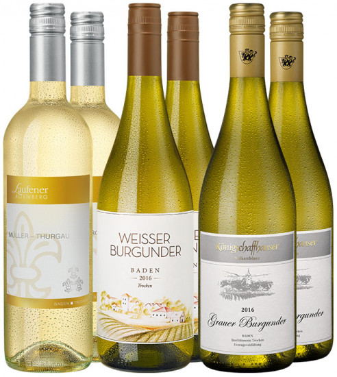 Baden-Wein-Probierpaket