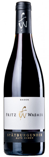 2018 Spätburgunder 