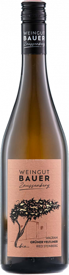 2023 Grüner Veltliner 