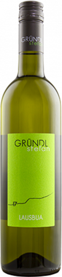 2025 Lausbua trocken - Weingut Gründl Stefan