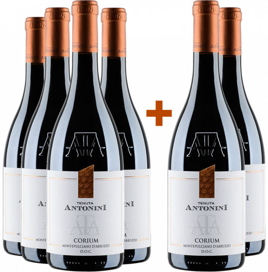 4+2 Paket Corium Montepulciano d'Abruzzo DOC - Tenuta Antonini Alessio