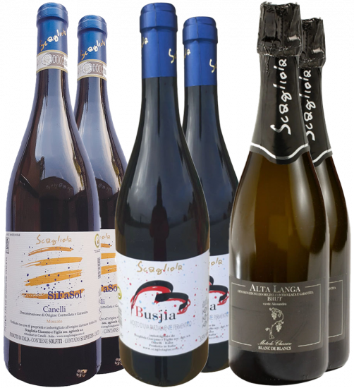 Premium Scagliola Giacomo Kennenlern-Paket - Scagliola Giacomo