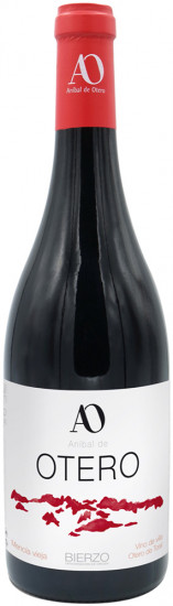 2019 Villa de Otero Magnum Bierzo DO trocken - Anibal de Otero