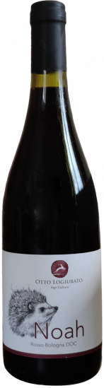 2023 Noah Colli Bolognesi DOC - Otto Logiurato