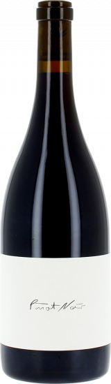 2020 PINOT NOIR | TERROIR trocken - Weingut Carlsfelsen