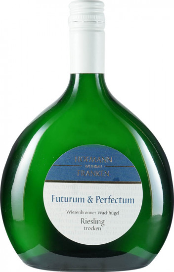 2023 Wiesenbronner Wachhügel Riesling Spätlese trocken Bio - Weinbau Hofmann