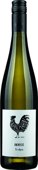 2023 Fidibus Cuvée trocken - Weinhaus Franz Hahn