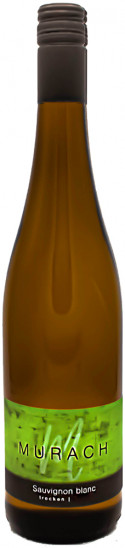 2025 Sauvignon Blanc trocken - Weingut Murach