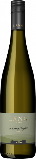 2025 Riesling Phyllit trocken - Weingut Lang