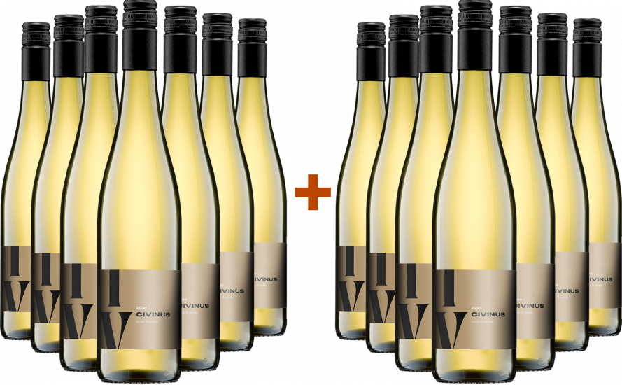 7+7 Paket 2024 Civinus Grauer Burgunder Bio - Weingut Franz
