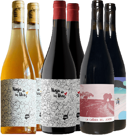 Kennenlernpaket Julia Casado Bio - Julia Casado