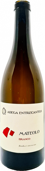 2024 Mateolo Branco trocken - Adega Entrecantos